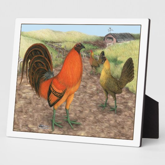 Game Fowl op het Boerderij Fotoplaat (Zijkant)