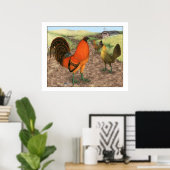 Game Fowl op het Boerderij Poster (Thuiskantoor)