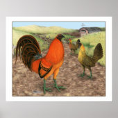 Game Fowl op het Boerderij Poster (Voorkant)