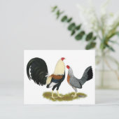Game Fowl Pair Briefkaart (Staand voorkant)