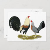 Game Fowl Pair Briefkaart (Voorkant / Achterkant)