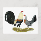 Game Fowl Pair Briefkaart (Voorkant)