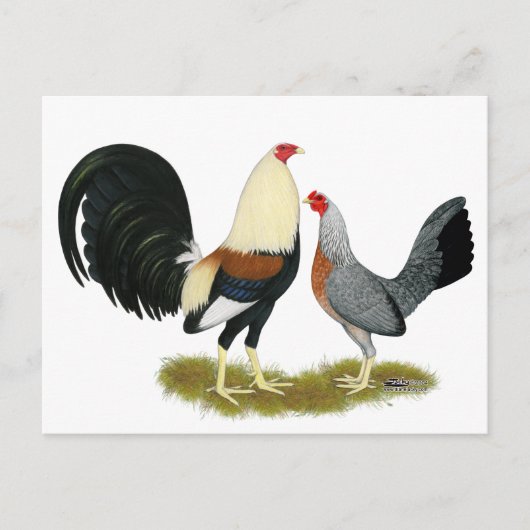 Game Fowl Pair Briefkaart (Voorkant)