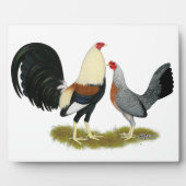 Game Fowl Pair Fotoplaat (Voorkant)