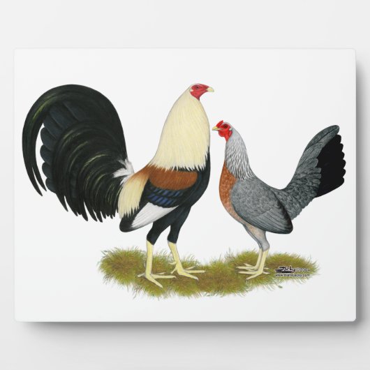 Game Fowl Pair Fotoplaat (Voorkant)