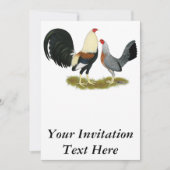 Game Fowl Pair Kaart (Voorkant)