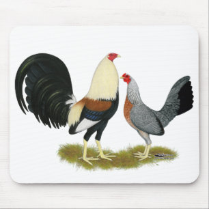 Game Fowl Pair Muismat