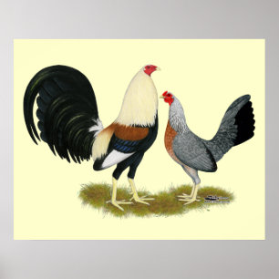 Game Fowl Pair Poster