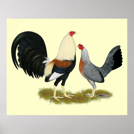 Game Fowl Pair Poster (Voorkant)