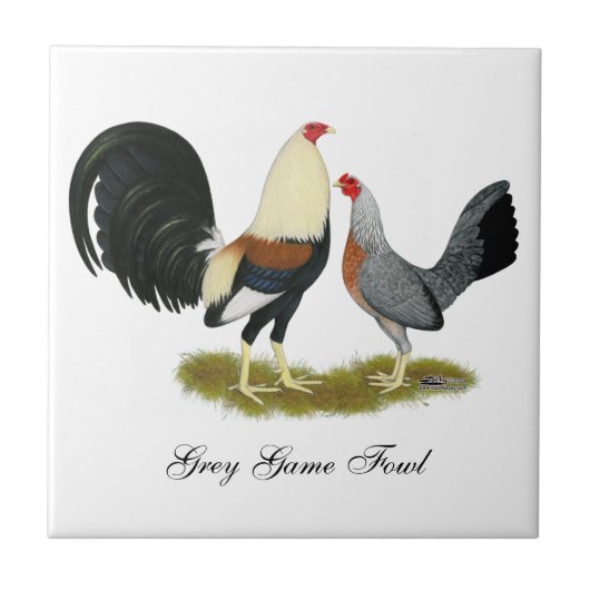 Game Fowl Pair Tegeltje (Voorkant)