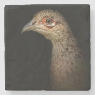 Game Girl Stenen Onderzetter