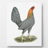 Game Hen Blauw Rood Fotoplaat (Voorkant)