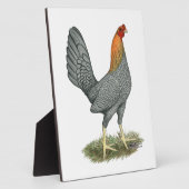 Game Hen Blauw Rood Fotoplaat (Zijkant)