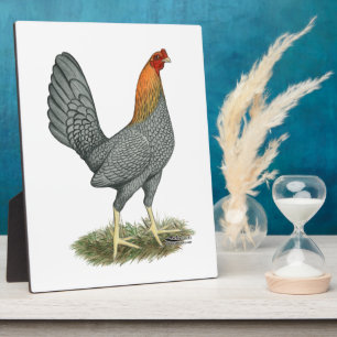 Game Hen Blauw Rood Fotoplaat