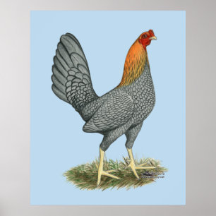 Game Hen Blauw Rood Poster