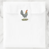 Game Hen Blauw Rood Vierkante Sticker (Tas)
