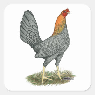 Game Hen Blauw Rood Vierkante Sticker