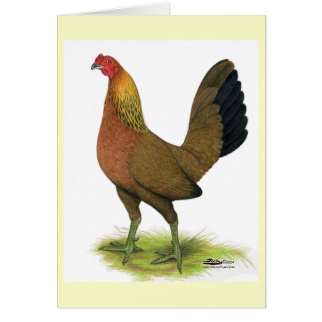 Game Hen:  Erwtkam (Voorkant)