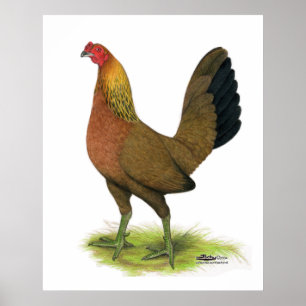Game Hen:  met erwten gekamd Poster