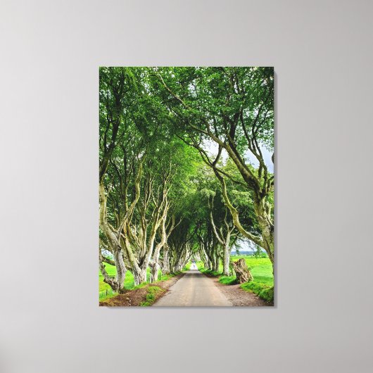 Game of Thrones muurkunst Canvas Afdruk (Voorkant)