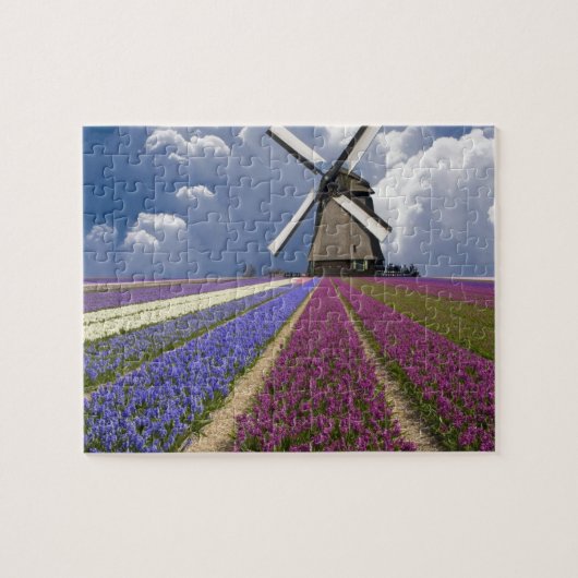 Game Puzzle-Field of Hyacinths Legpuzzel (Horizontaal)