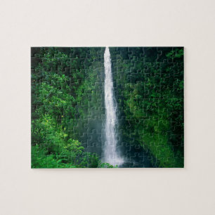 Game Puzzle-Waterfall Scene Legpuzzel