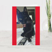 Game uitnodiging Afstandsbediening Kat Grappig (Voorkant)