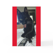 Game uitnodiging Afstandsbediening Kat Grappig