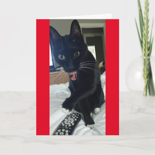 Game uitnodiging Afstandsbediening Kat Grappig (Voorkant)