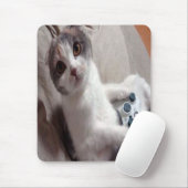 Gamecat mousepad muismat (Met muis)