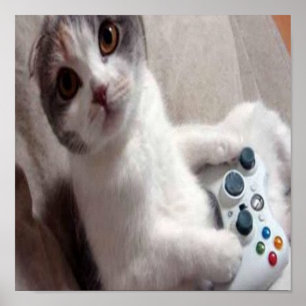 Gamecat - poster