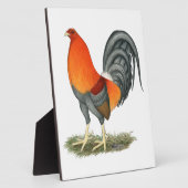Gamecock Blauwe Rode Haantje Fotoplaat (Zijkant)