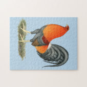 Gamecock Blauwe Rode Haantje Legpuzzel (Horizontaal)