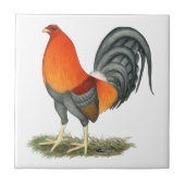 Gamecock Blauwe Rode Haantje Tegeltje (Voorkant)