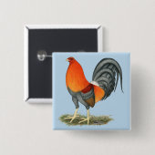 Gamecock Blauwe Rode Haantje Vierkante Button 5,1 Cm (Voorkant /achterkant)