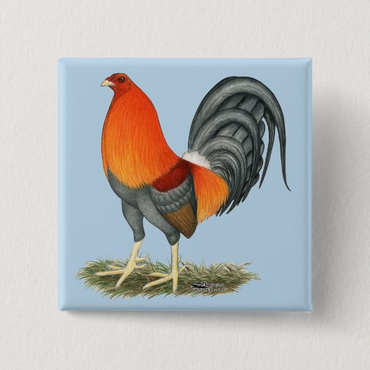 Gamecock Blauwe Rode Haantje Vierkante Button 5,1 Cm (Voorkant)