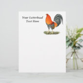 Gamecock Blue Red (Staand voorkant)