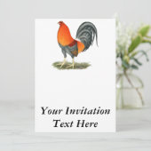 Gamecock Blue Red Kaart (Staand voorkant)