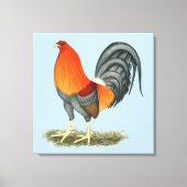 Gamecock Blue Red Rooster Canvas Afdruk (Voorkant)