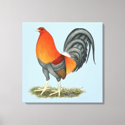Gamecock Blue Red Rooster Canvas Afdruk (Voorkant)