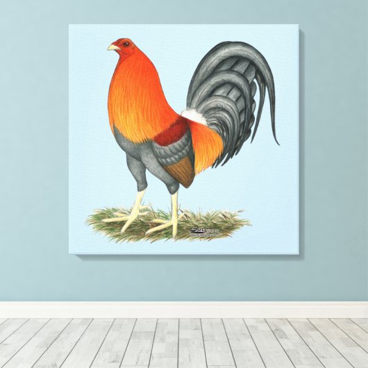 Gamecock Blue Red Rooster Canvas Afdruk (Insitu (Houten vloer))