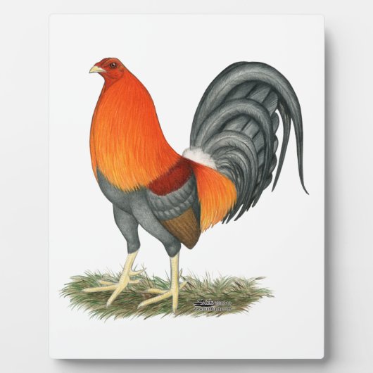 Gamecock Blue Red Rooster Fotoplaat (Voorkant)