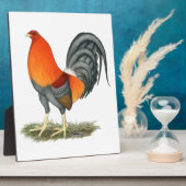 Gamecock Blue Red Rooster Fotoplaat (Zijkant)