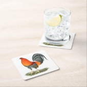 Gamecock Blue Red Rooster Kartonnen Onderzetters (Insitu)