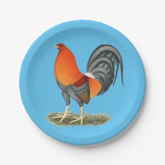 Gamecock Blue Red Rooster Papieren Bordje (Voorkant)