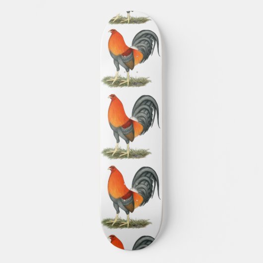 Gamecock Blue Red Rooster Persoonlijk Skateboard (Voorkant)
