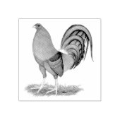 Gamecock Blue Red Rooster Rubberstempel (Afrduk)