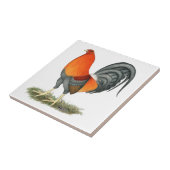 Gamecock Blue Red Rooster Tegeltje (Zijkant)