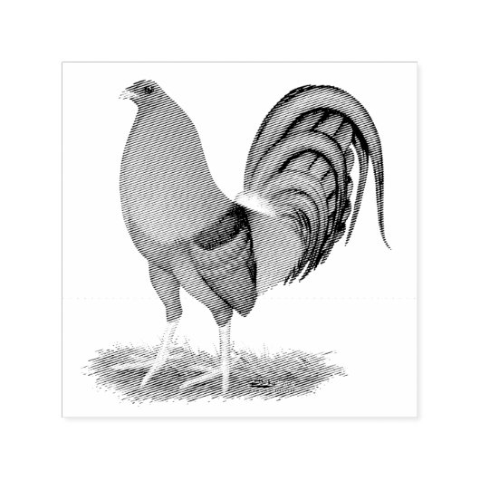 Gamecock Blue Red Rooster Zelfinktende Stempel (Design)