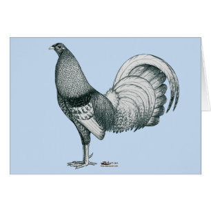 Gamecock Crele of Dom